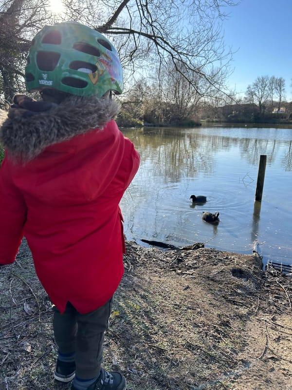 Goldsworth Park Lake