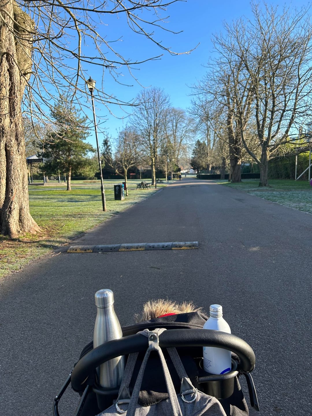 Woking Park - image 2
