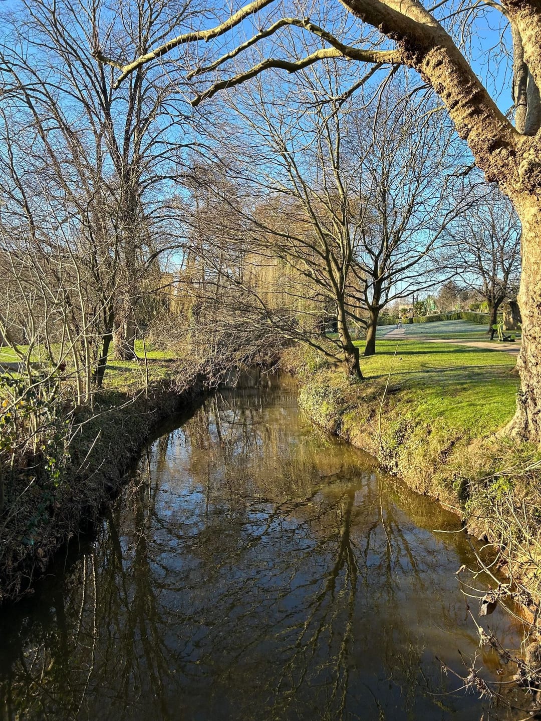 Woking Park - image 7