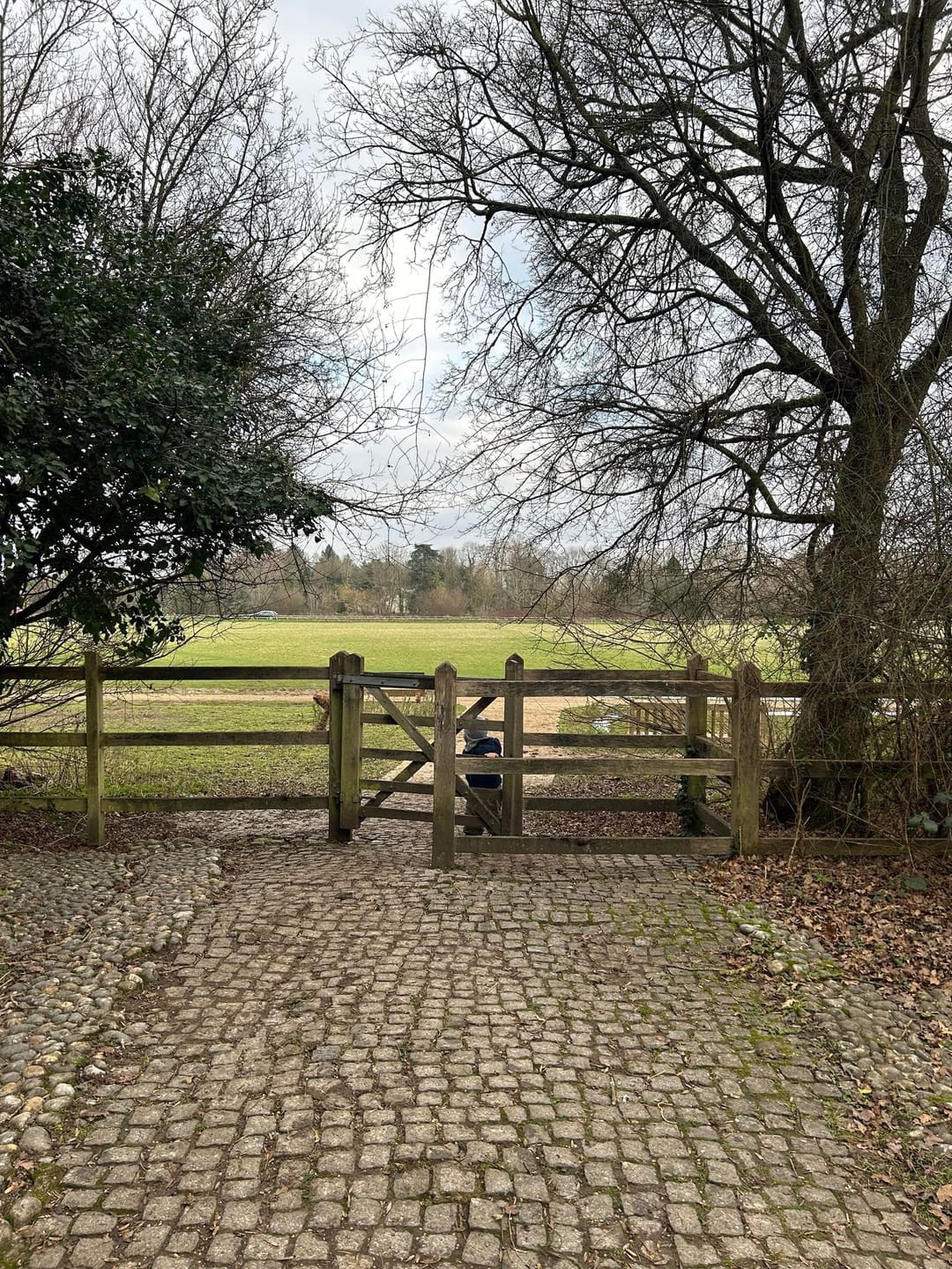Runnymede and Ankerwycke - image 1