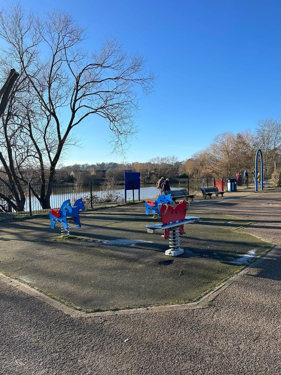 Goldsworth Park Lake - image 1