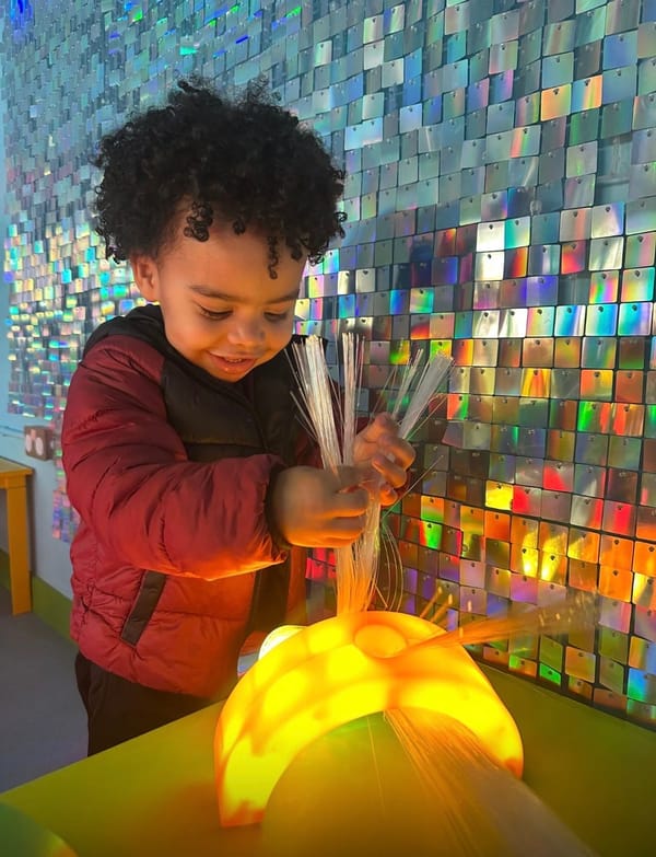 Mazzy Bee's Soft Play