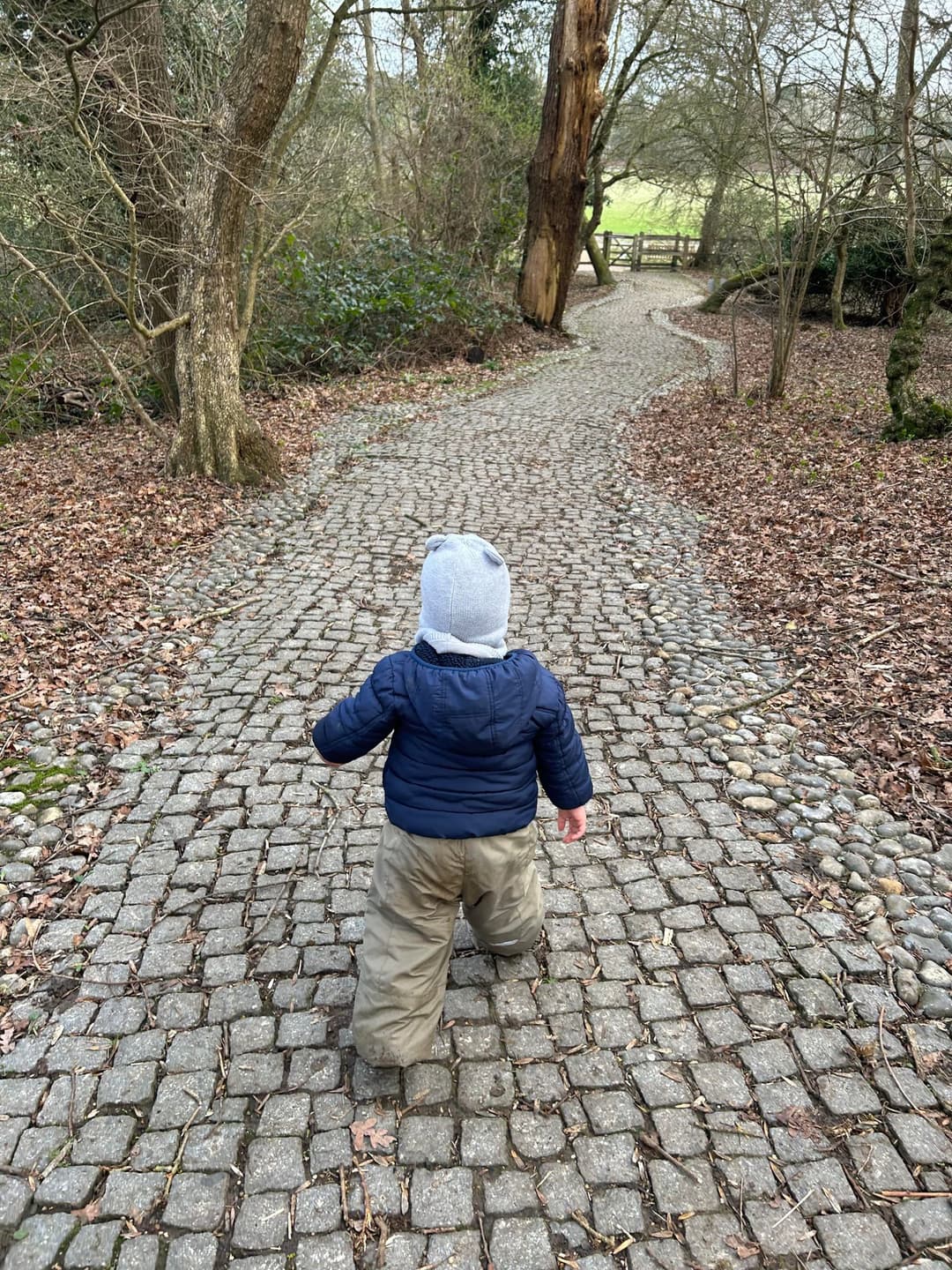 Runnymede and Ankerwycke - image 2