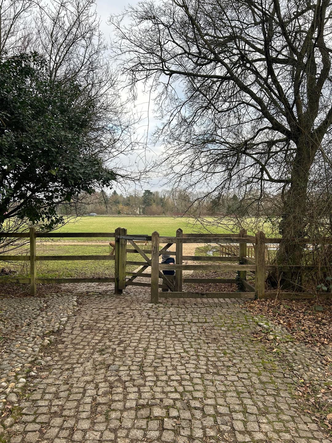 Runnymede and Ankerwycke - image 1