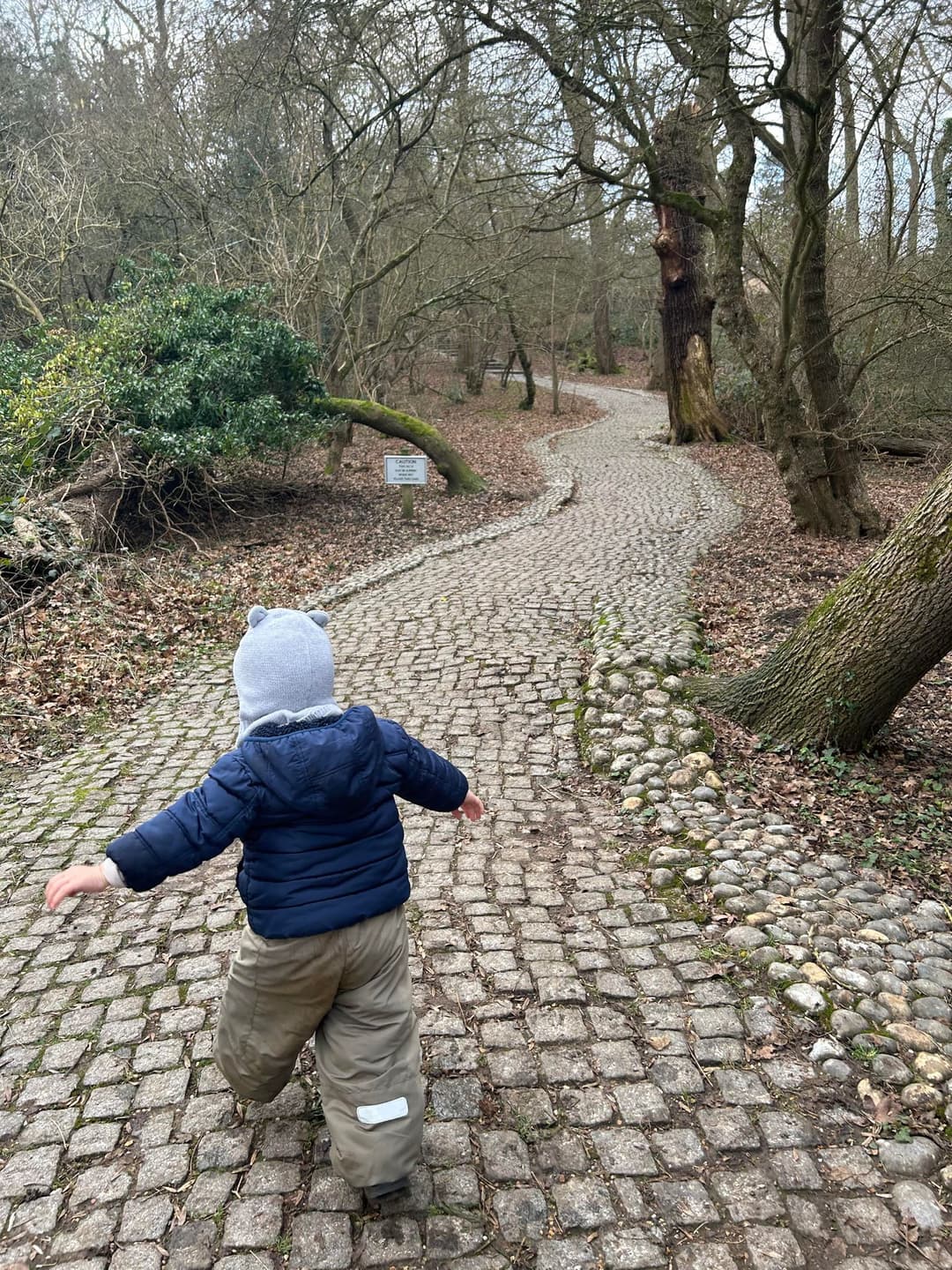 Runnymede and Ankerwycke - image 1