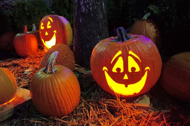 Denbies Spooky Halloween Trail